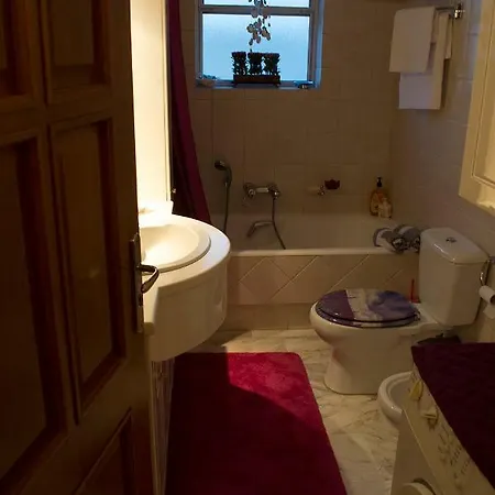 Apartment Luxury Vassiliki's House